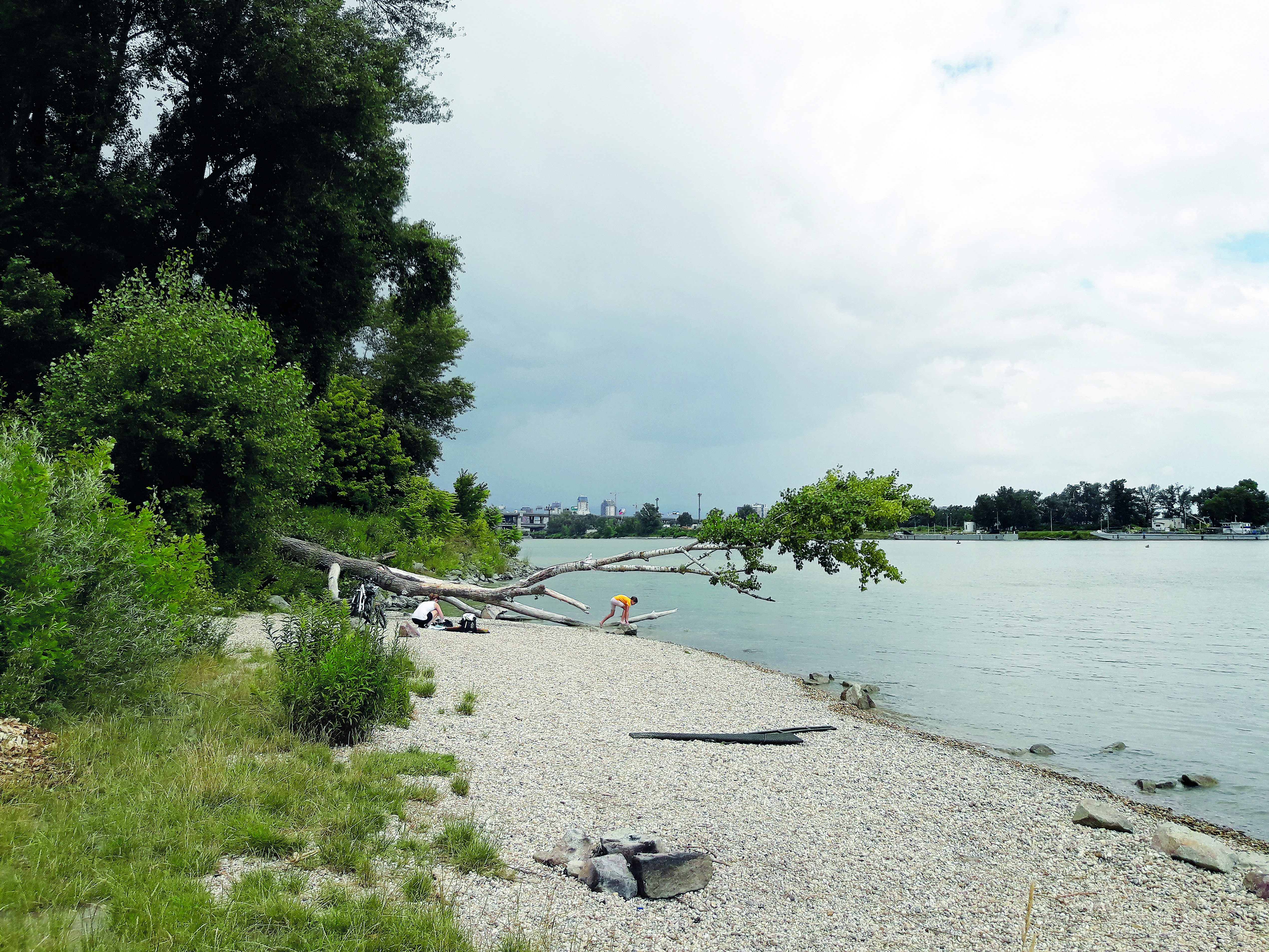 Recreation Danube Bank. Archive of the Bratislava Danube Park NGO.